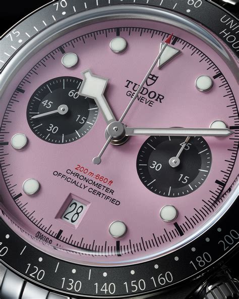 tudor black bay pink dial